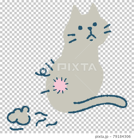 Cat with bad coat Cat with bad coat 79184306