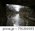 近江八幡の川 79184493