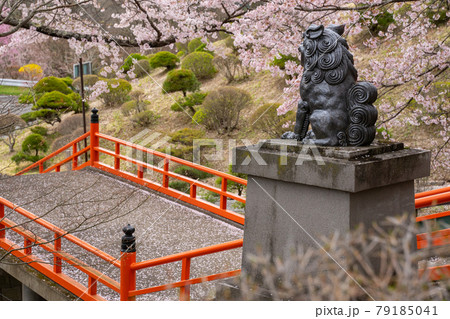 参道　福泉寺 79185041