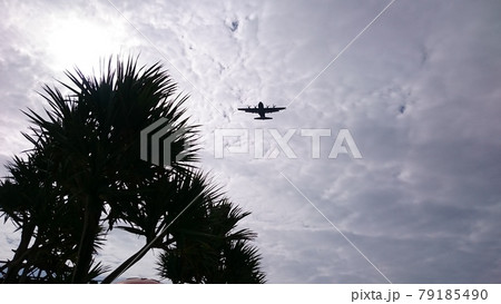 椰子の木と空軍機 79185490