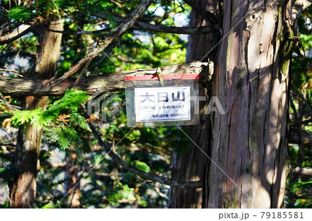 大日山の山頂標識 79185581