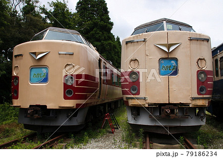 ポッポの丘：183系電車 79186234