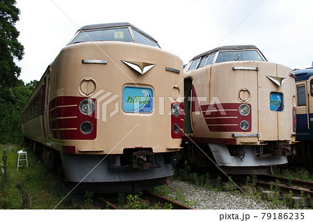 ポッポの丘：183系電車 79186235