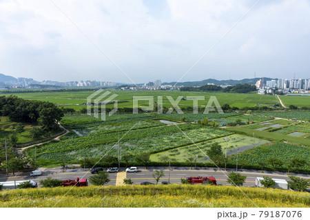 風景 池 グァンゴクジ 79187076