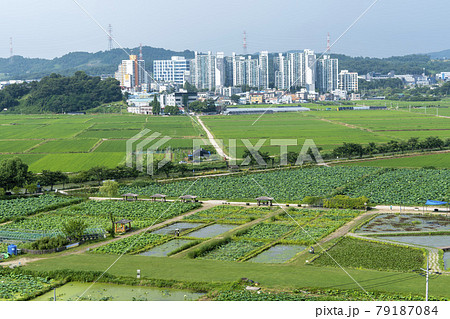 風景 池 グァンゴクジ 79187084