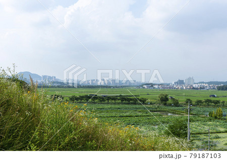 風景 池 グァンゴクジ 79187103