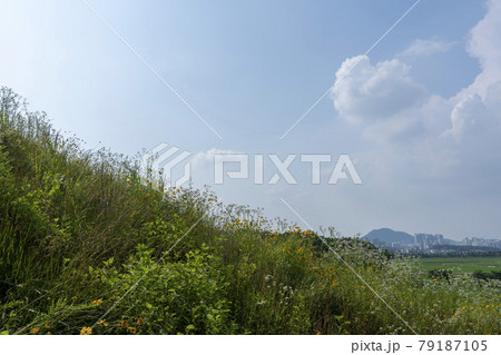 池 グァンゴクジ スポット 79187105