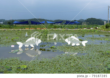 池 グァンゴクジ 修練 79187285