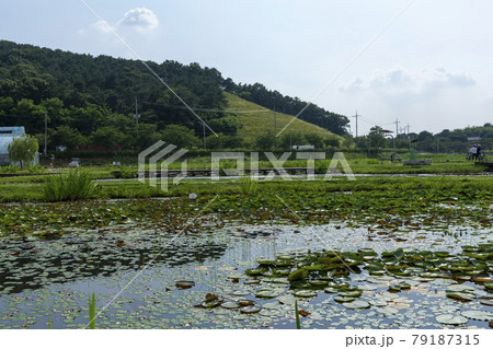 風景 池 グァンゴクジ 79187315