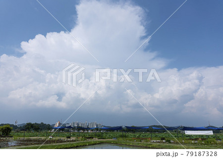 風景 池 グァンゴクジ 79187328