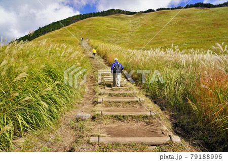 俱留尊山の曽爾高原遊歩道 俱留尊山の曽爾高原遊歩道 79188996