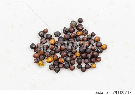 whole-grain rapeseeds close up on gray ceramic whole-grain rapeseeds close up on gray ceramic 79189747