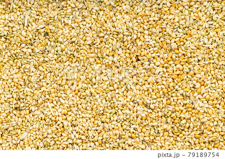 background - whole-grain foxtail millet seeds 79189754