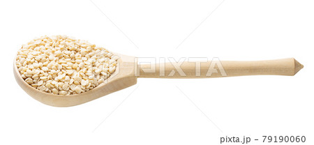 urad dal (split black gram) beans in wooden spoon 79190060