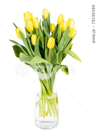 bouquet of yellow tulips in glass vase isolated bouquet of yellow tulips in glass vase isolated 79190380