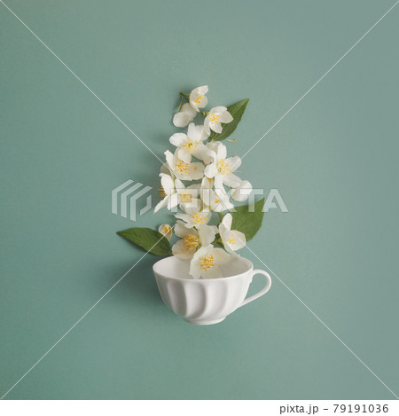 cup of tea with jasmine flowers on green background. Flat lay, top view. 79191036