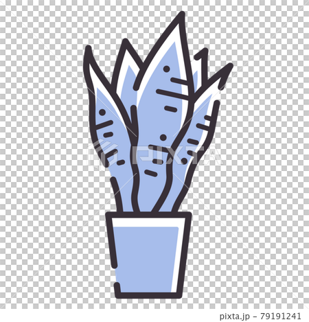 シンプルな線のサンスベリアのイラスト_観葉植物 シンプルな線のサンスベリアのイラスト_観葉植物 79191241