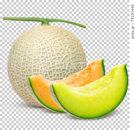 Melon Illustration Real Cut Red Blue Set 79191486