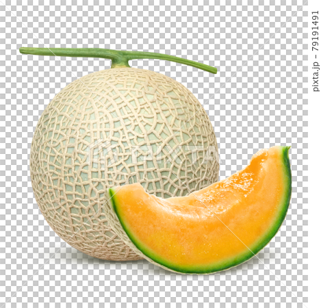 Melon Illustration Real Cut Red Meat Set 79191491