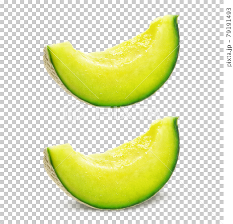 Melon Illustration Real Cut Blue Melon Illustration Real Cut Blue 79191493