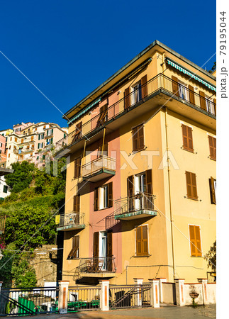 Houses in Manarola at the Cinque Terre in Italy Houses in Manarola at the Cinque Terre in Italy 79195044
