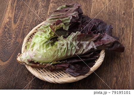 ロメインレタス　宮城県丸森町産 79195101