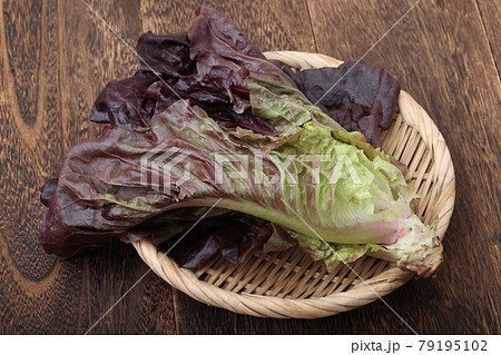 ロメインレタス　宮城県丸森町産 79195102