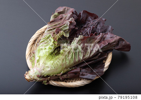 ロメインレタス　宮城県丸森町産 79195108