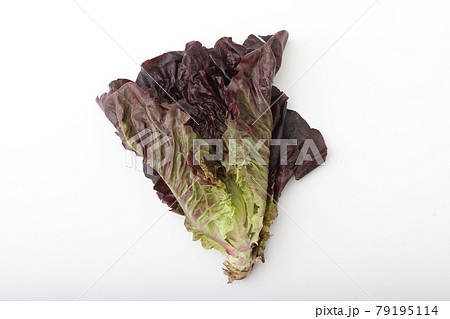 ロメインレタス　宮城県丸森町産 79195114