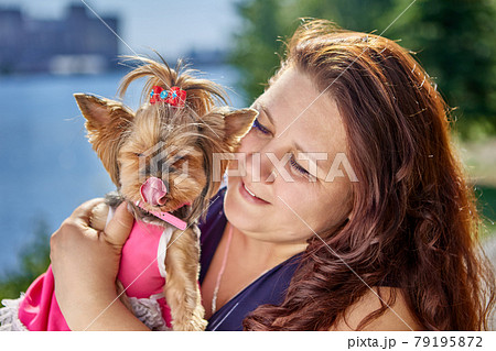 Large build woman hugs Yorkshire Terrier, dog licks its lips. Large build woman hugs Yorkshire Terrier, dog licks its lips. 79195872