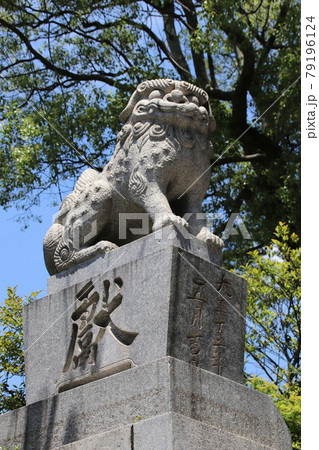 北九州市門司区の甲宗八幡宮の狛犬 79196124