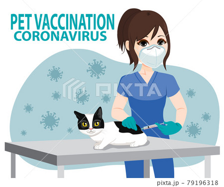 Female veterinarian vaccinating cat on coronavirus pet vaccination campaign concept Female veterinarian vaccinating cat on coronavirus pet vaccination campaign concept 79196318