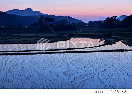 宇陀雨師の棚田 宇陀雨師の棚田 79196326