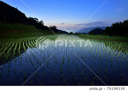 宇陀安田の棚田 79196336