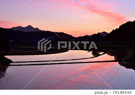 宇陀雨師の棚田 宇陀雨師の棚田 79196340