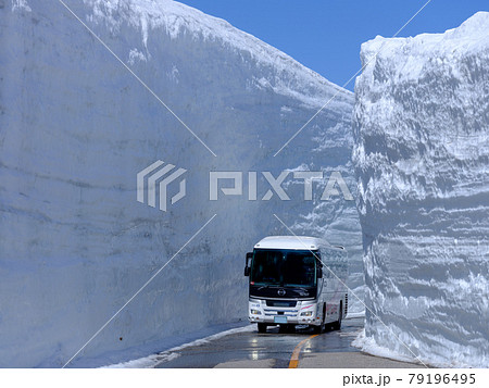 富山・アルペンルート・雪の大谷と高原バス 79196495