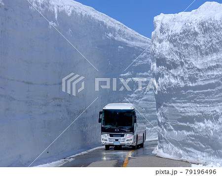 富山・アルペンルート・雪の大谷と高原バス 79196496