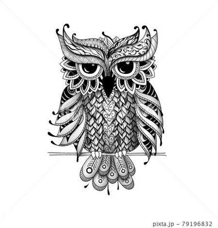 Owl in dudling style 79196832