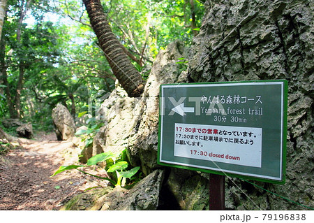 【沖縄】大石林山のトレッキングコース 79196838