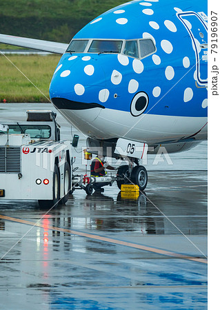 沖縄県 石垣市 石垣島 新石垣空港 離島 リゾート 島 天国 夏休み 観光 旅行 飛行機 日本航空 沖縄県 石垣市 石垣島 新石垣空港 離島 リゾート 島 天国 夏休み 観光 旅行 飛行機 日本航空 79196907