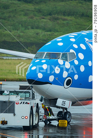 沖縄県 石垣市 石垣島 新石垣空港 離島 リゾート 島 天国 夏休み 観光 旅行 飛行機 日本航空 沖縄県 石垣市 石垣島 新石垣空港 離島 リゾート 島 天国 夏休み 観光 旅行 飛行機 日本航空 79196908