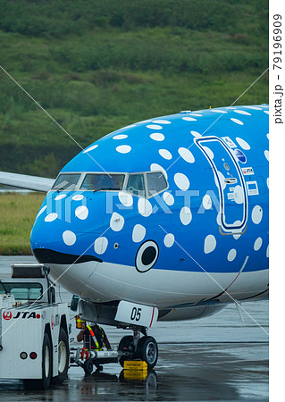 沖縄県 石垣市 石垣島 新石垣空港 離島 リゾート 島 天国 夏休み 観光 旅行 飛行機 日本航空 沖縄県 石垣市 石垣島 新石垣空港 離島 リゾート 島 天国 夏休み 観光 旅行 飛行機 日本航空 79196909