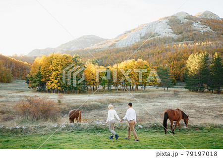 Man and woman are holding hands and walk on the lawn on which horses graze against the background of mountains. Back view Man and woman are holding hands and walk on the lawn on which horses graze against the background of mountains. Back view 79197018