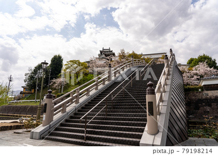 京都府福知山市 春の福知山城公園と昇龍橋 京都府福知山市 春の福知山城公園と昇龍橋 79198214