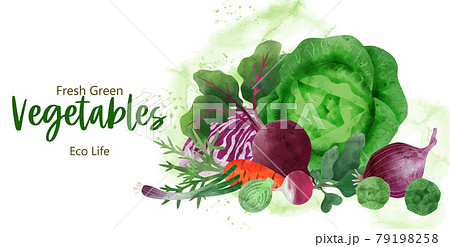 Pile of fresh vegetables, summer banner, hand drawn Pile of fresh vegetables, summer banner, hand drawn 79198258