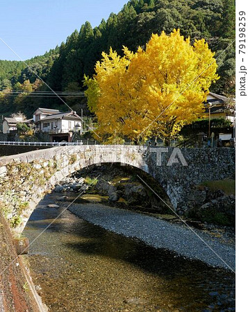 熊本県八代市　市指定文化財の笠松橋 79198259