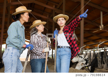 Female farmers talking and pointing at cowshed 79198614