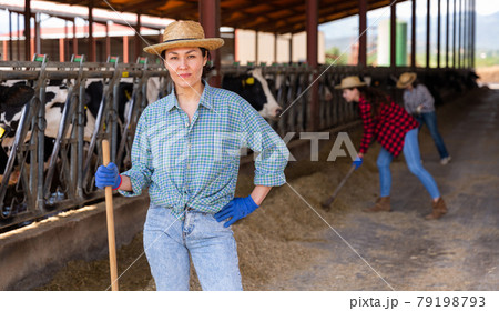 Asian female farmer posing in cowshed at the cow farm Asian female farmer posing in cowshed at the cow farm 79198793