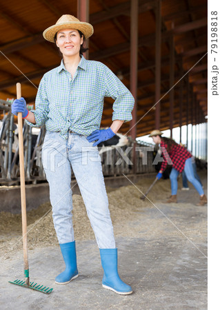 Asian female farmer posing in cowshed at the cow farm Asian female farmer posing in cowshed at the cow farm 79198818