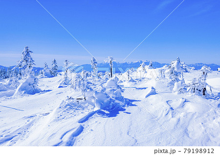 【長野県】冬の北八ヶ岳 霧氷 坪庭自然園 【長野県】冬の北八ヶ岳 霧氷 坪庭自然園 79198912